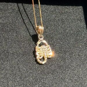 10K Solid Gold Scorpio Pendant Charm – 0.8 in Zodiac Scorpion Charm